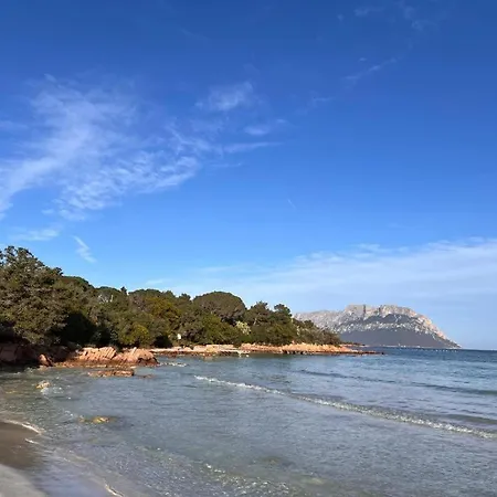 Dell'armonia Perfetta Sardegna * Porto Istana