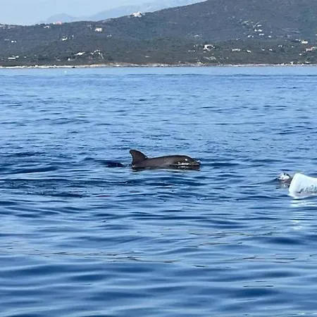 Dell'armonia Perfetta Sardegna *