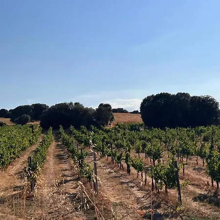 Dell'armonia Perfetta Sardegna *