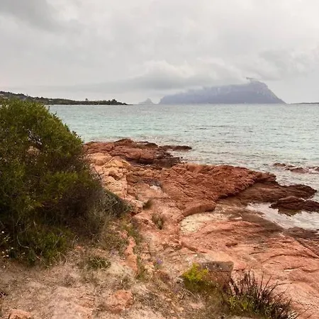Dell'armonia Perfetta Sardegna Semesterbostad *