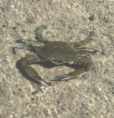 Dell'armonia Perfetta Sardegna * Porto Istana