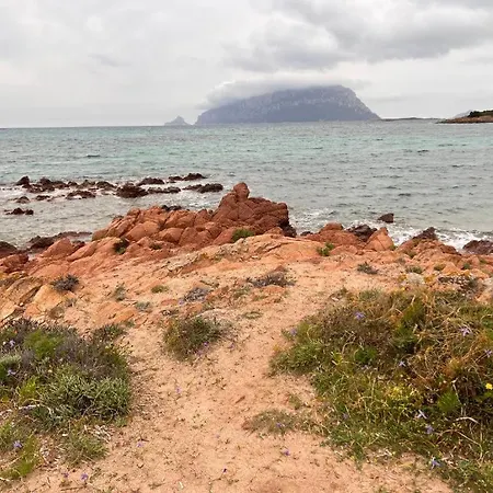 Dell'armonia Perfetta Sardegna Porto Istana