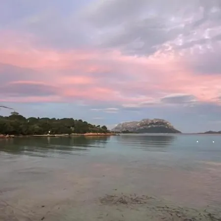 Dell'armonia Perfetta Sardegna